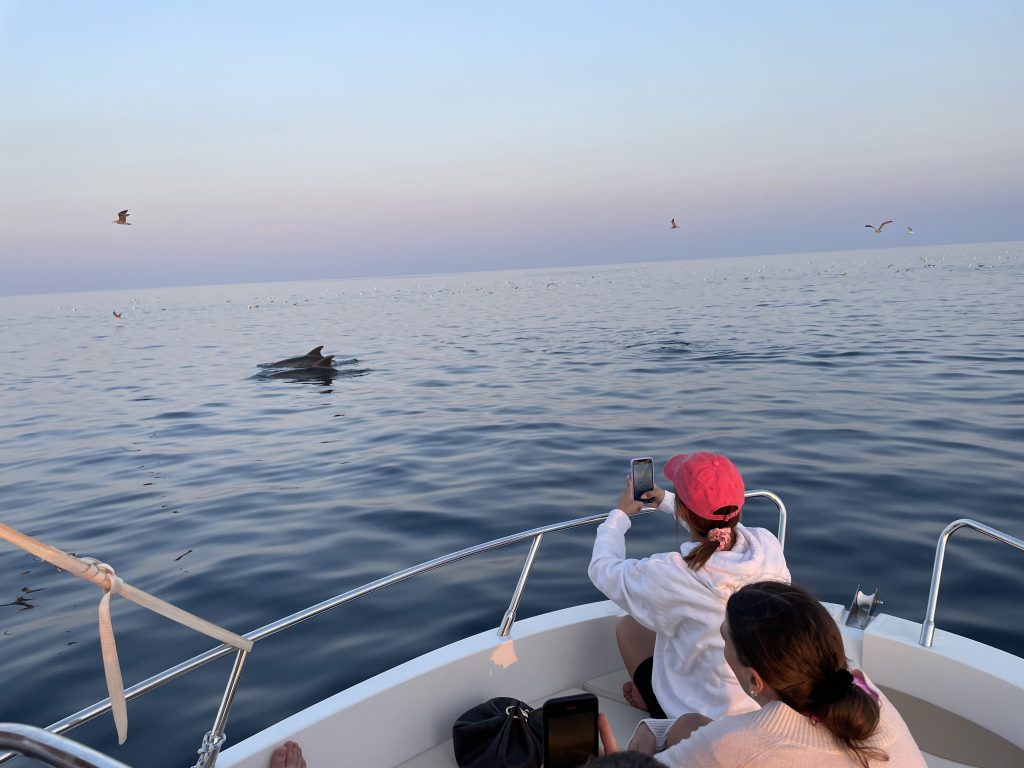 Rent A Boat Rovinj by Mare Media - tourists taking photo of a dolphin tour near Rovinj, Croatia