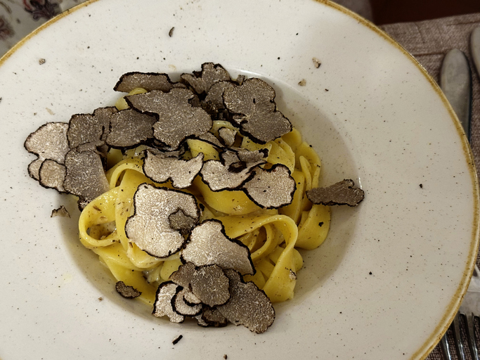 Pasta with fresh shaved truffle in Istria, Croatia
